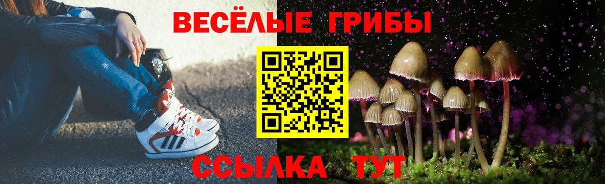 Домодедово  Галлюциногенные грибы ЛСД  Вход с VPN 